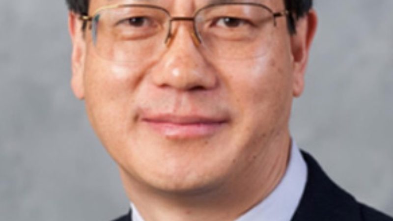 芯片批发报价平台怎么选