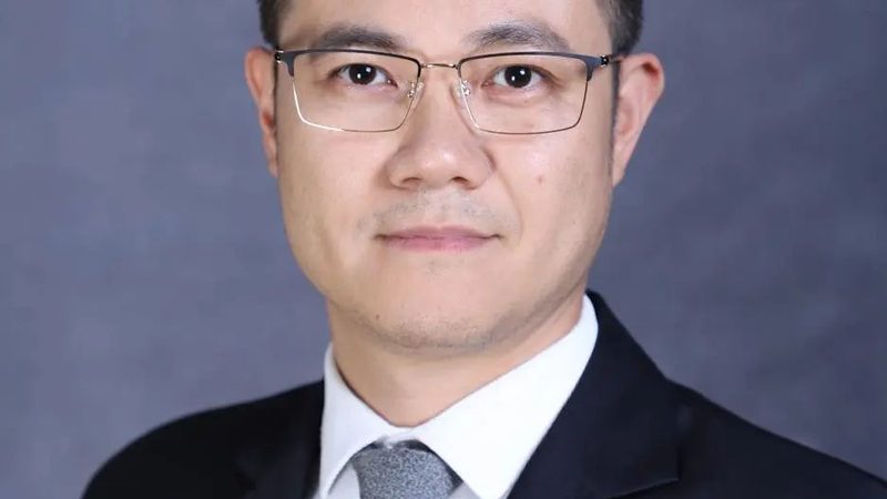 国产二极管：价格背后的考量因素**